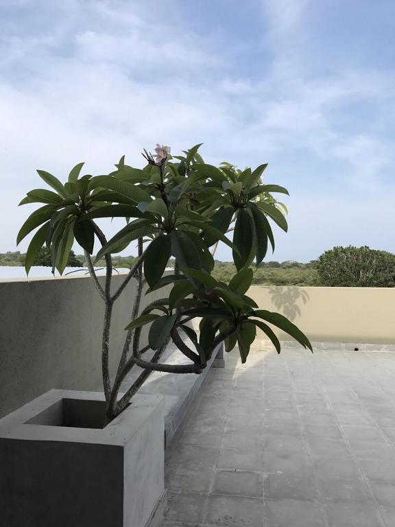 Tree Tops Yala Exterior foto