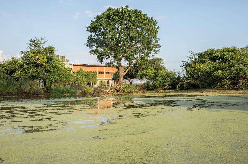 Tree Tops Yala Exterior foto